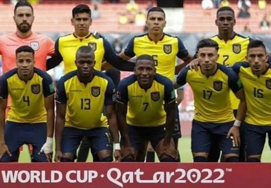 Profil Timnas Ekuador, Kuda Hitam Piala Dunia Qatar 2022